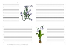 Faltbuch-Schneeglöckchen-blanko-2.pdf